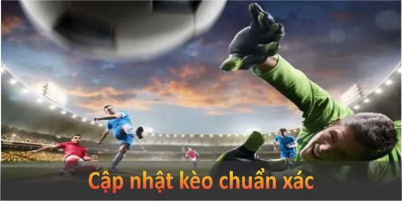 Bảng kèo tại AE888 cập nhật theo thời gian thực, cung cấp đầy đủ thông tin cho người chơi lựa chọn.