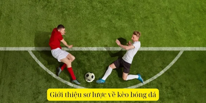 Kèo Cơ Hội Kép AE888 – Cược An Toàn Với Tỷ Lệ Thắng Cao